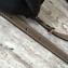 Hermes Width 1.3cm Reversible Leather Constance H Buckle Belt Etoupe/Pink Gold