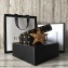 Gucci Studded Leather Belt Black Coffee With Star Buckle