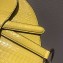 Dior Python Mini Saddle Bag Yellow 2019