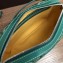 Goyard Camera Case Shoulder Bag Green