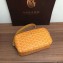 Goyard Camera Case Shoulder Bag Yellow