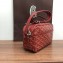 Goyard Camera Case Shoulder Bag Red