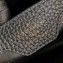 Louis Vuitton Capucines BB Bag Central Stripe Python N94220 Black