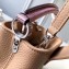 Louis Vuitton Capucines Mini Bag Lizard Handle N94047 Tivoli