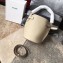 Celine Nano Big Bag Bucket Bag in Grained Calfskin 187243 Beige 2019