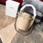 Celine Nano Big Bag Bucket Bag in Grained Calfskin 187243 Beige 2019