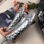 Chanel Leather Classic Bow Ballerinas Flats Quilted Silver/Apricot Sole