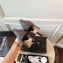 Chanel Pearl Heel 8.5cm Pumps G31983 Tweed 2019