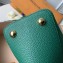 Louis Vuitton Capucines PM Bag Python Handle and Flap N95382 Green