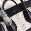 Celine Python Luggage Nano Bag Gray