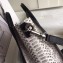 Celine Python Luggage Nano Bag Gray