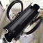 Celine Python Luggage Nano Bag Gray