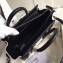 Celine Python Luggage Nano Bag Gray
