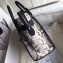Celine Python Luggage Micro Bag Gray