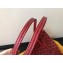Goyard Anjou Reversible Tote Mini Bag Red