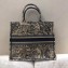 Dior Book Tote Bag In Toile de Jouy motif Embroidered Blue 2019