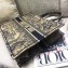 Dior Book Tote Bag In Toile de Jouy motif Embroidered Blue 2019