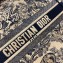 Dior Book Tote Bag In Toile de Jouy motif Embroidered Blue 2019
