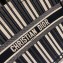 Dior Book Tote Bag In Striped Canvas Blue 2019