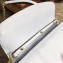 Dolce & Gabbana Padlock Flower Chain Clutch Bag Baby Blue 2019