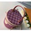 Louis Vuitton Monogram and Damier Canvas Cannes Beauty Case Bucket Bag M43986 2019