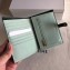 Celine Bicolour Medium Strap Multifunction Wallet Dark Green/Pale Green