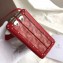 Goyard Minaudiere Trunk Case Bag Red 2019