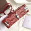 Goyard Minaudiere Trunk Case Bag Red 2019