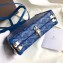 Goyard Minaudiere Trunk Case Bag Blue 2019