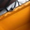 Goyard Minaudiere Trunk Case Bag Yellow 2019