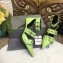 Balenciaga Heel 8cm Belt Ankle Strap Pumps Green 2019