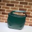 Gucci Double G Arli Medium Shoulder Bag 568857 Green 2019