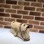 Gucci GG Marmont Raffia Small Shoulder Bag 443497 Beige/Gray 2019