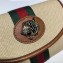 Gucci Vintage Web Rajah Chain Mini Bag 573797 Canvas Beige 2019