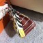 Hermes Birkin 25 Bag in Summer Day Swift Leather