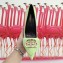 Balenciaga Heel 8cm BB Fringe Pumps Light Green 2019