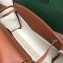 Goyard Rouette Shoulder Tote Bag Brown