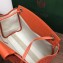 Goyard Rouette Shoulder Tote Bag Orange