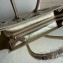 Celine Micro Luggage Bag in Original Laminated Lambskin Gold