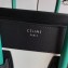 Celine Micro Luggage Bag in Original Smooth Calfskin Black/White/Green