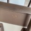 Celine Micro Luggage Bag in Original Smooth Calfskin Etoupe/White/Apricot