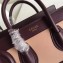 Celine Nano Luggage Bag in Original Smooth Calfskin Burgundy/Beige/Suede Red with Removable Shoulder Strap