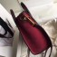 Celine Nano Luggage Bag in Original Smooth Calfskin Burgundy/Beige/Suede Red with Removable Shoulder Strap