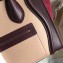 Celine Micro Luggage Bag in Original Smooth Calfskin Burgundy/Beige/Suede Red
