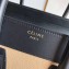 Celine Micro Luggage Bag in Original Black/Drummed Beige/Suede Dark Green