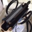 Celine Python Luggage Nano Bag Blue/Black/Apricot