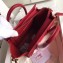 Celine Python Luggage Nano Bag Red
