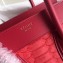 Celine Python Luggage Micro Bag Red
