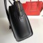 Celine Micro Luggage Bag in Original Black/Lizard Pattern