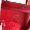 Celine Nano Luggage Bag in Original Red/Croco Pattern with Removable Shoulder Strap